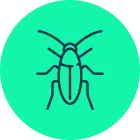 Roach Type Identification (2) (1)