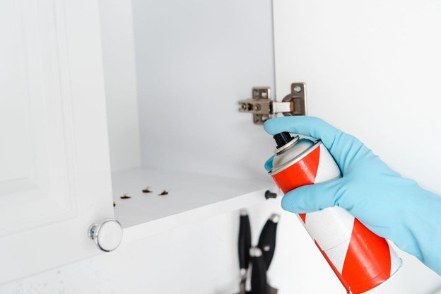 Roach Pest Control Services